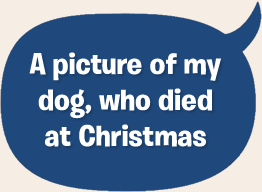 A picture of my dog, who died at Christmas